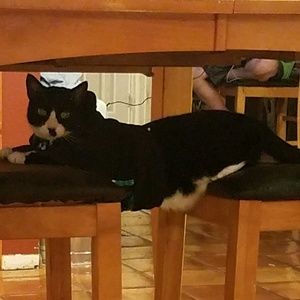 Meet your Posher, Betteanne